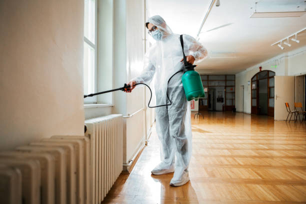 Best Pest Prevention Services  in Edgewood, KY