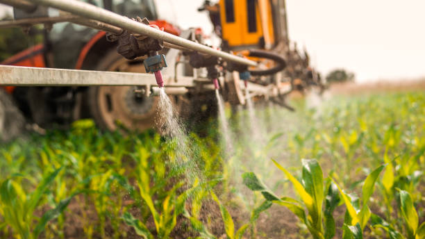 Professional Pest Control in Edgewood, KY